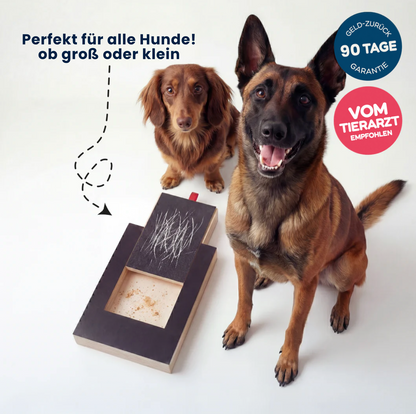 TheCalmPaw™ | Stressfreie Krallenpflege