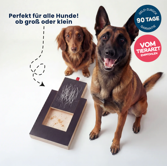TheCalmPaw™ | Stressfreie Krallenpflege