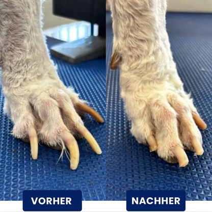 TheCalmPaw™ | Stressfreie Krallenpflege