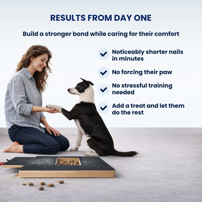 TheCalmPaw™ | Stress-Free Nail Care Board